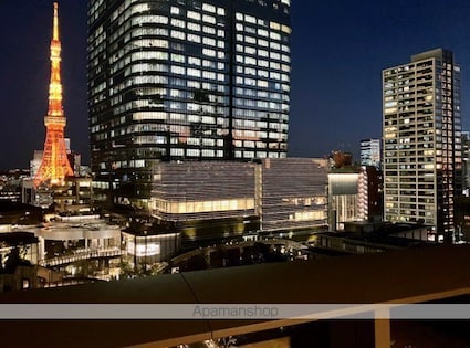 東京都港区麻布台１丁目[1LDK/44.22m2]の内装4