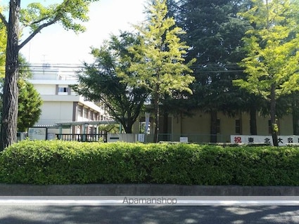 平和マンション上杉[1K/20.15m2]の周辺8