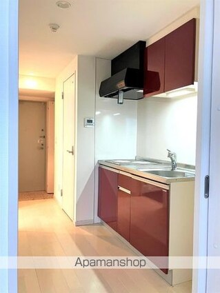 アレーズ南池袋[1K/32.49m2]のキッチン