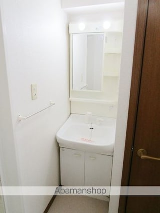 山梨県甲斐市大下条[2DK/44.34m2]の洗面所