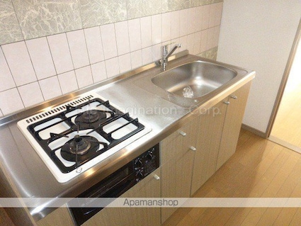 エクスプローラー[1K/31.02m2]のキッチン