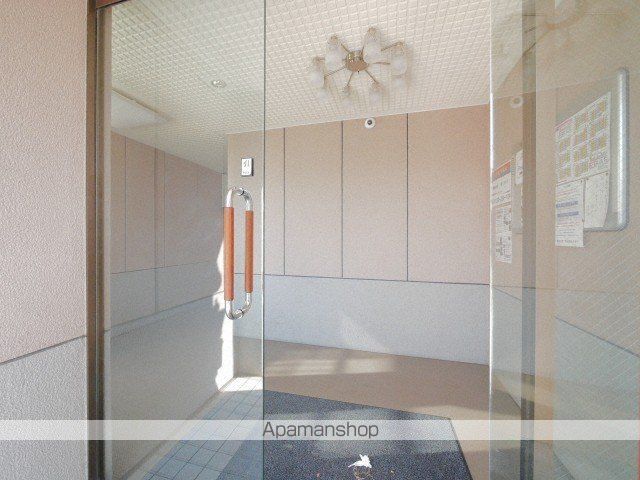 コスモス菊水のその他写真