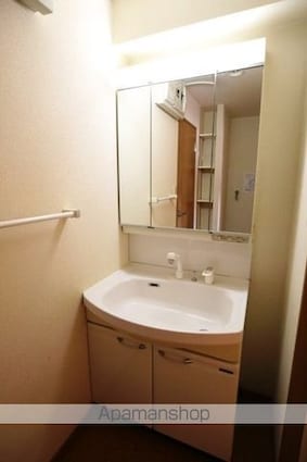 アピス三軒茶屋[1K/30.54m2]の洗面所