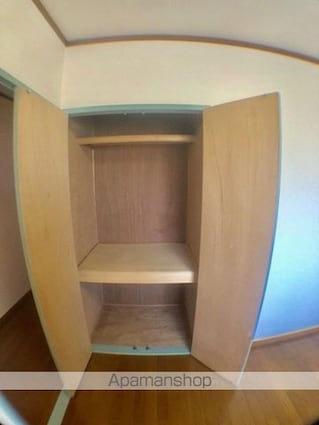 パディ・アイ・マンション[2LDK/50.85m2]の収納