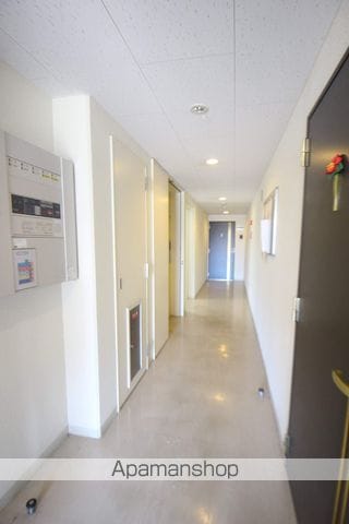 MS SORAのその他写真