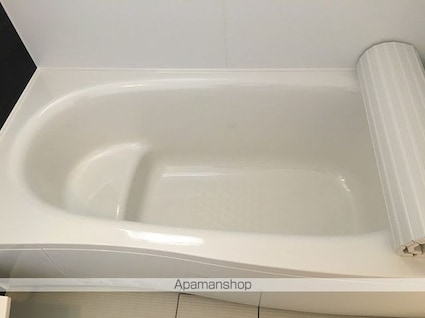 ルイティア　Ⅲ[1LDK/41.91m2]のバス