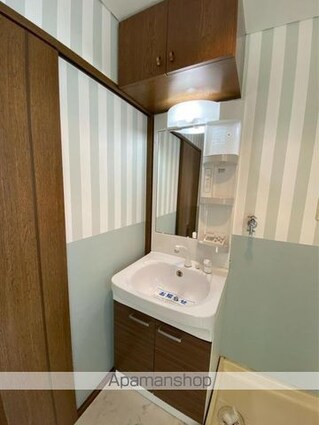 柳ハイツ[2DK/43.06m2]の洗面所