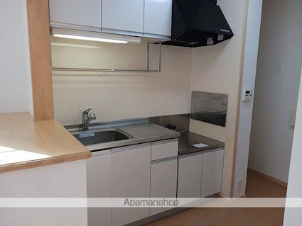 メゾン・ド・ルナ[1R/32.21m2]のキッチン2