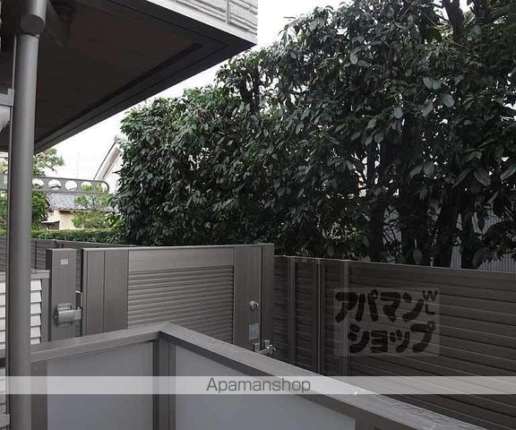 べレオ桂のその他写真