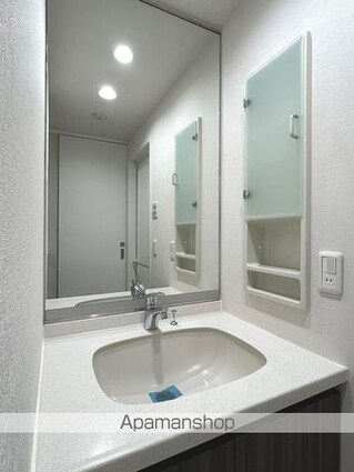 千葉県市川市湊新田１丁目[1K/33.72m2]の洗面所