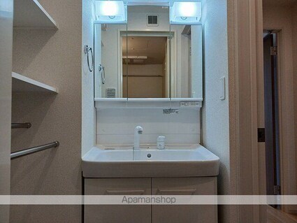 サンリット[1R/32.43m2]の洗面所