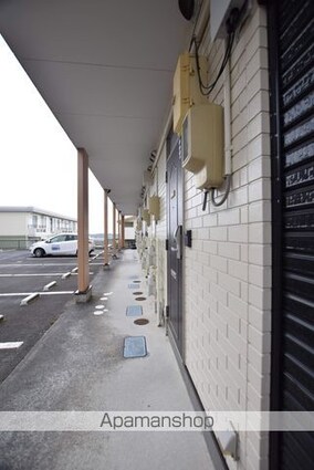 ノーブルカーサ川平[1K/26.49m2]の共用部3