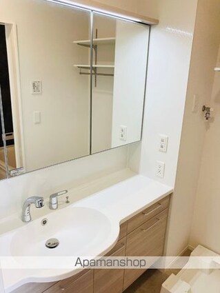 グランドメゾン城ケ丘[1K/30.03m2]の洗面所