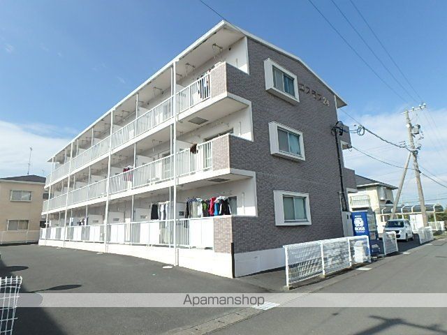 コスモス24