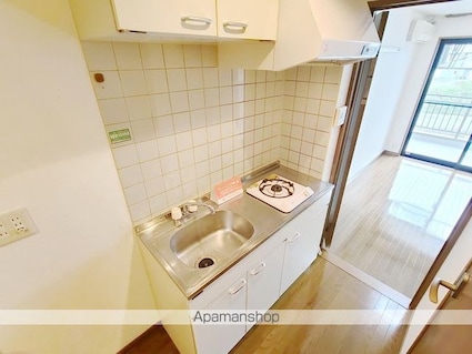 ニューウェル白板[1K/19.8m2]のキッチン