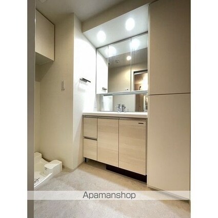 ルーウェ東大泉[2LDK/54.45m2]の洗面所