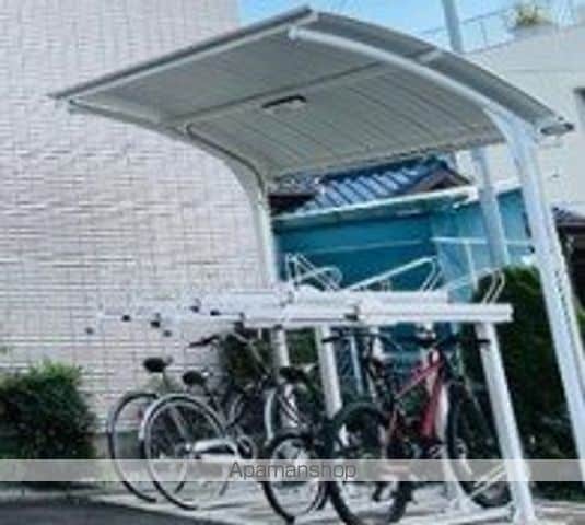アオイリオーサのその他写真