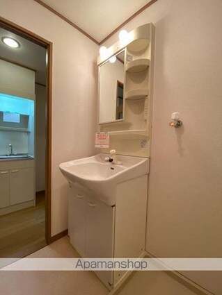 マーヴェラス太田[1K/30.09m2]の洗面所