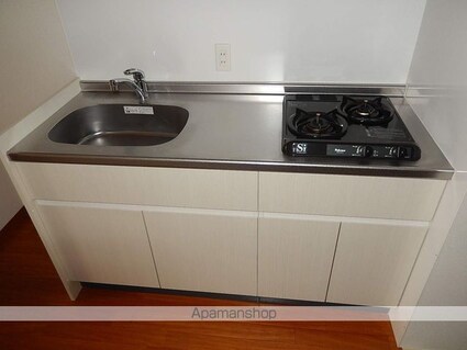 リバーコート砂田橋Ⅱ[1K/31.32m2]のキッチン