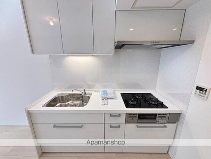 ＨＦ若林公園レジデンス[2LDK/58.11m2]のキッチン