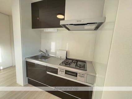 フラン岡[1LDK/41.01m2]のキッチン