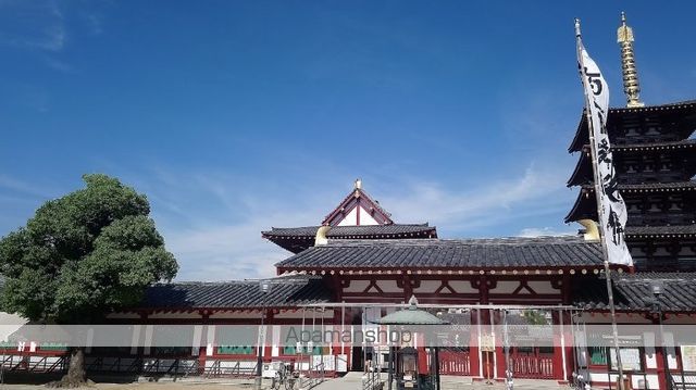 CITY SPIRE上町台の周辺写真
