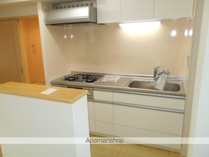 カーサ　プラシード[1LDK/52.37m2]のキッチン