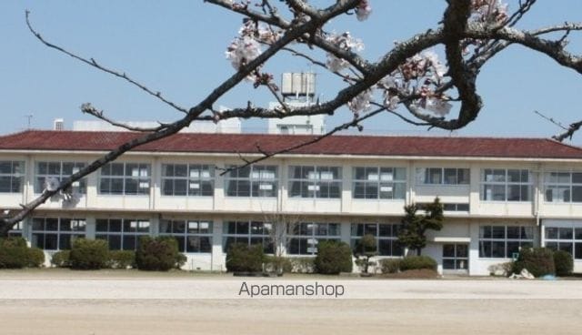 fortuneの周辺写真