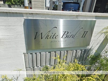 ホワイト　バード　Ⅱ　Ａ棟[1LDK/43.74m2]のエントランス