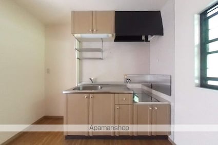 ハイツぶどうの木Ⅱ[2DK/40.92m2]のキッチン