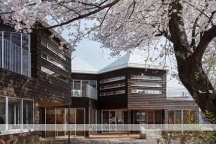 ウィンドテラス新柴又Ⅱ[1K/23.6m2]の周辺8