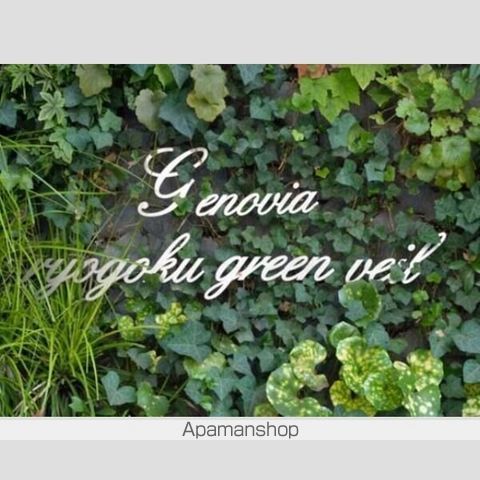 ＧＥＮＯＶＩＡ両国ｇｒｅｅｎ　ｖｅｉｌ[1R/25.56m2]のリビング・居間2