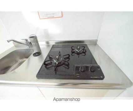 Ｏｐｕｓ　ＩＩ[1K/25.51m2]のキッチン2