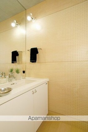 カスタリア渋谷櫻丘[1LDK/49.93m2]の洗面所