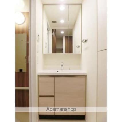 パークアクシス豊洲キャナル[1DK/36.63m2]の洗面所