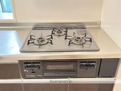 ＥｓｐｅｒａｎｚａⅡ[2LDK/57.19m2]のキッチン2