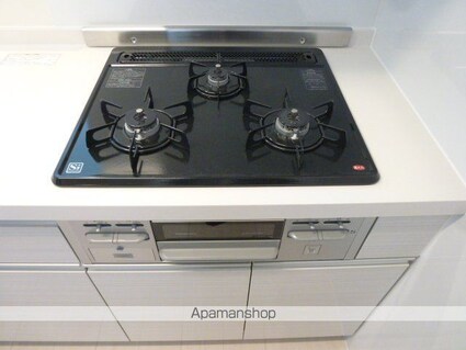 東京都国立市東４丁目[1LDK/29.25m2]の内装5