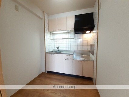 ラフィネ庄内緑地公園[1K/31.62m2]のキッチン