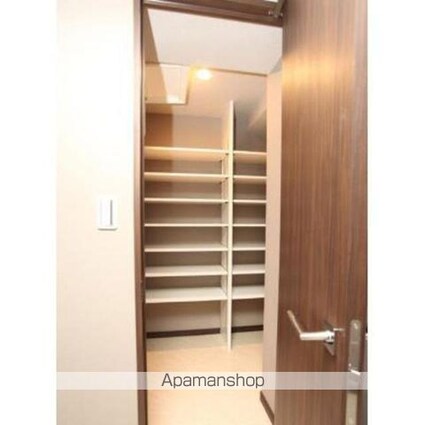 ベルファース芝浦タワー[1LDK/55.59m2]の収納