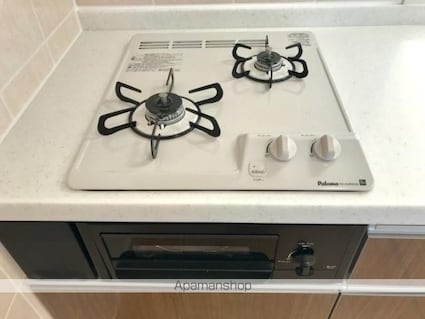 ラ・カンパニュラⅡ[1LDK/45.09m2]のキッチン4