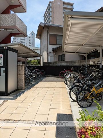 アンジュラピスのその他写真