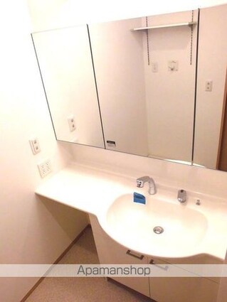 ドムス　Ｙ[1K/29.06m2]の洗面所