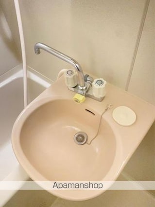 ローテンブルグⅥ[1K/26m2]の洗面所