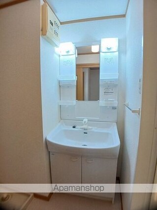 シャン・ミリューⅡＣ[1LDK/41.98m2]の洗面所