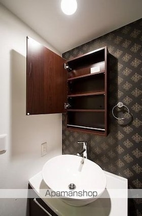 Ｌｅｍｕｒｉａ[1K/22.4m2]の洗面所