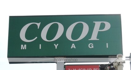 メイプルハウス[2DK/36m2]の周辺8