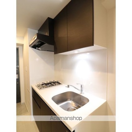 プレール・ドゥーク本所吾妻橋Ⅲ[1K/25.95m2]のキッチン