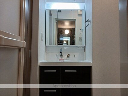 ヒカルサ甲府国母　イースト[2LDK/58.13m2]の洗面所