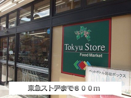 ジュネス東玉川[1K/30.31m2]の周辺6