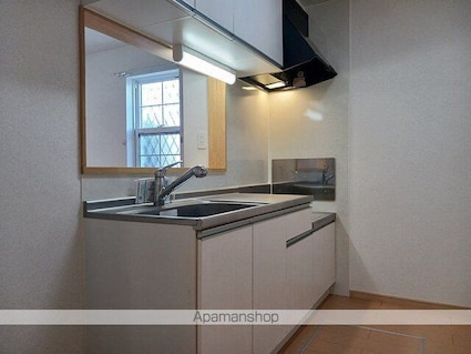 フローリッシュ[1LDK/42.8m2]のキッチン